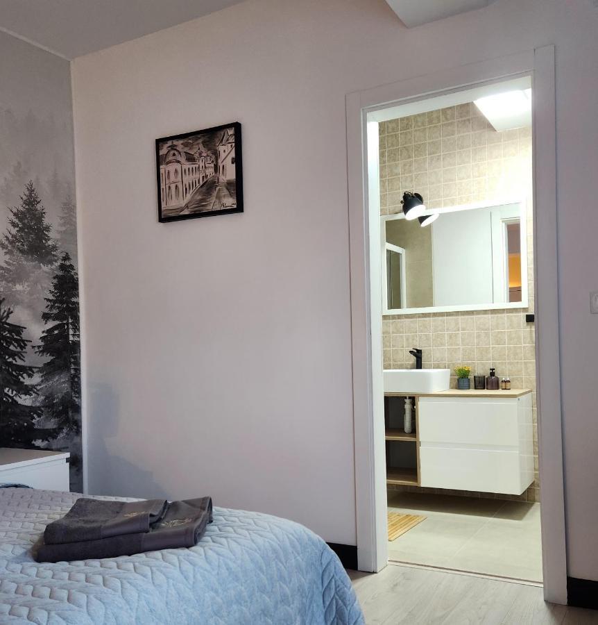 My Room Accommodation Curtea de Argeş Exterior foto